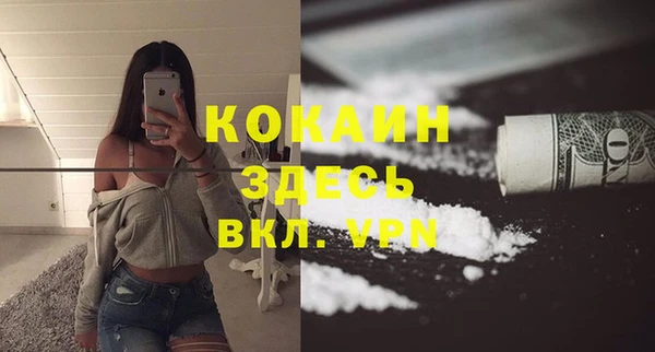 мескалин Заводоуковск