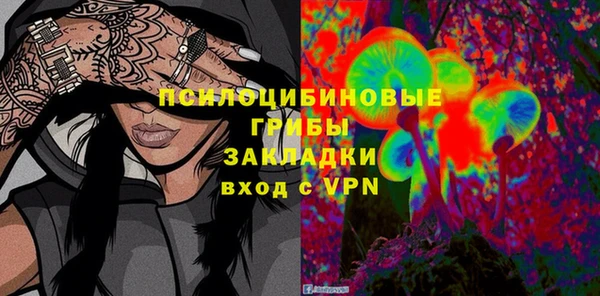 меф Ельня