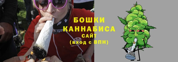 меф Ельня