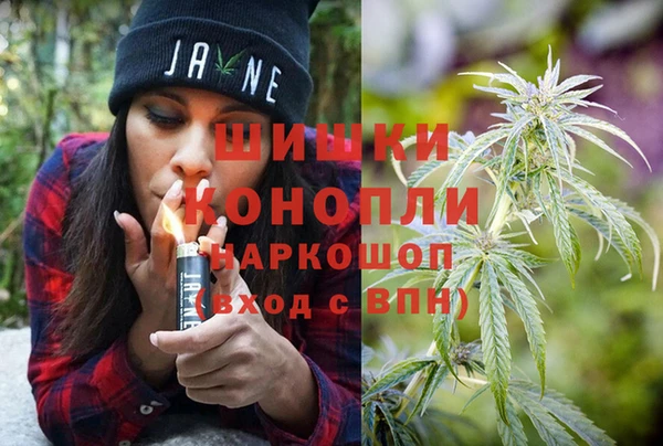 меф Ельня