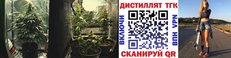 ТГК THC oil  Купить где  Арск 
